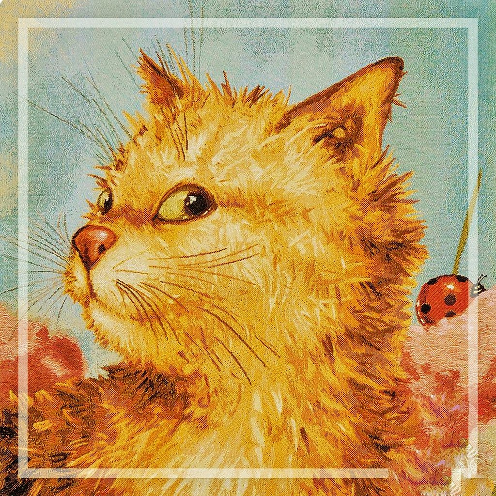 ������� ���� � ��������� ���������� ��� ����!)