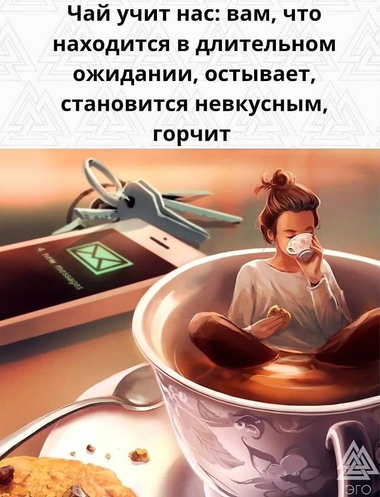   ,    ,        .
