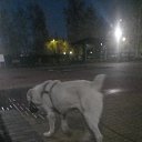 ���� Gleb, ��������� - ��������� 16 ������� 2022 � ������ ������ ��������