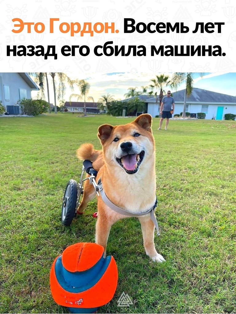      ,     !