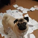 ���� �������, ���������� - ��������� 11 ������ 2022 � ������ ���� ����������