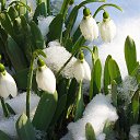 ���� ����� �������, ������ - ��������� 25 ������� 2022 � ������ ���� ����������