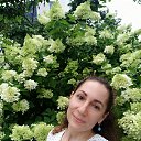 ���� �������, �����������, 41 ��� - ��������� 28 ������� 2022 � ������ ���� ����������
