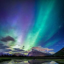 ���� ������, �����-���������, 41 ��� - ��������� 17 ������� 2023