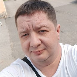 �����, �����-���������, 41 ���