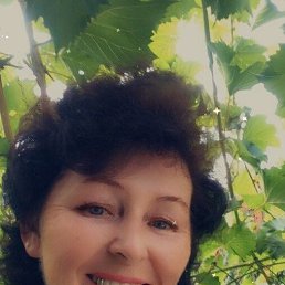 , 65, 