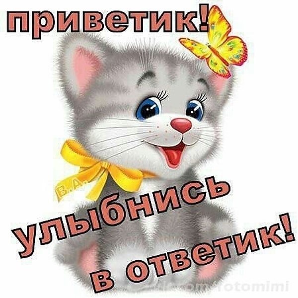   ,    . - 28  2022  22:46 - 5