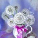 ���� ����, ���� - ��������� 27 ���� 2022 � ������ ������ ��������