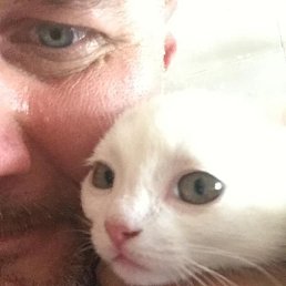 �������, ����������, 49 ���