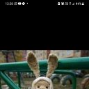 ���� ������, �������������, 62 ���� - ��������� 18 ��� 2022 � ������ ���� ����������