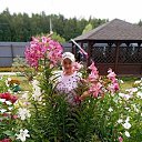 ���� ����, ���������� - ��������� 26 ������� 2022 � ������ ���� ����������