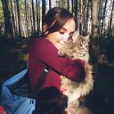 ���� �����, ��������, 27 ��� - ��������� 7 ������ 2022