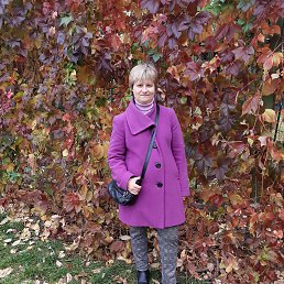 ���� �����, ������, 44 ���� - ��������� 5 ������� 2022