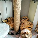 ���� ����, ������, 45 ��� - ��������� 8 ������� 2023 � ������ ���� ����������