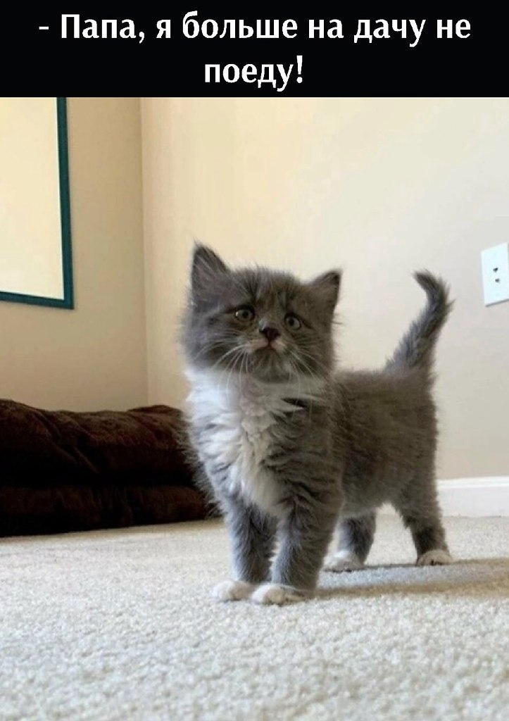       - 12  2022  17:27 - 2