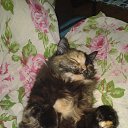 � ������ ��� ������� � �������... �� ������� ������� �
