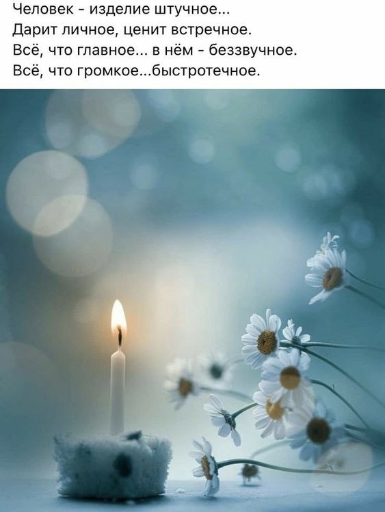   - 12  2023  15:56