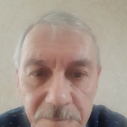 �����, ������, 71 ���