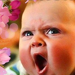 �������, �������������-����������, 85 ���