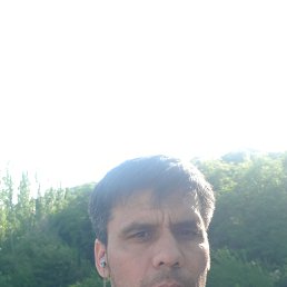 ���� ������, �������, 43 ���� - ��������� 1 ������ 2022