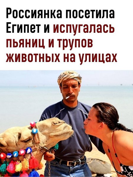 А я когда поеду в Египет?! Или лучше не надо...