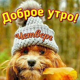 �������, ������, 39 ���