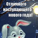  , , 62  -  31  2022    .