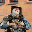 ���� ����, �����-��������� - ��������� 6 ������� 2022 � ������ ���� ����������