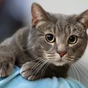 ���� Serg, ������, 41 ��� - ��������� 19 ������ 2023 � ������ ������ ��������