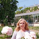  , , 56  -  29  2022   - 2022