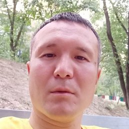 �����, ������, 46 ���