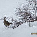 ������� � ��� �� ����� ���� � ������ ������ ��������, �� ������� ���������������� ������ ���� ������... �� ������� ������