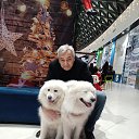  , --, 59  -  7  2023    