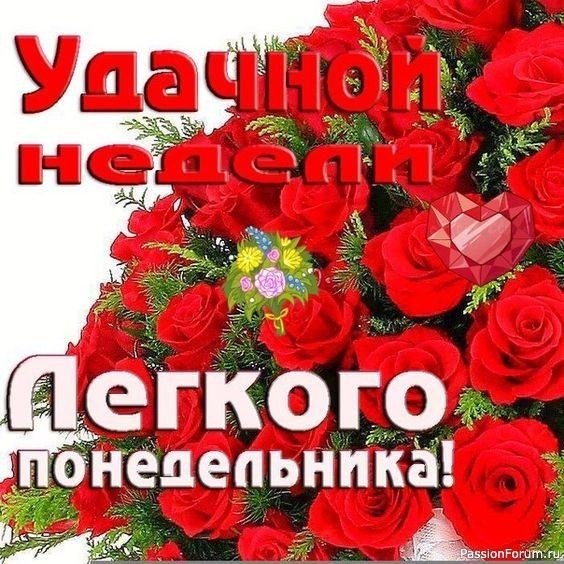 '����' - 11 ���� 2022 � 09:04