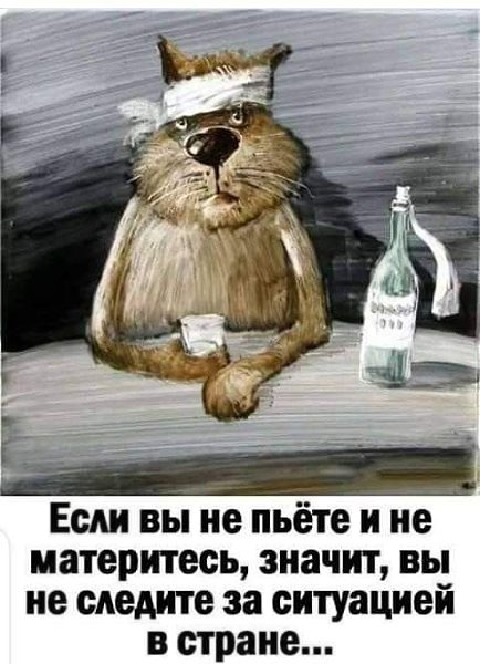  - 3  2022  17:08