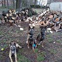 ���� Waldemar, �����������, 101 ��� - ��������� 20 ������ 2023