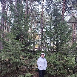 ����, ������, 72 ����