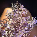 ���� �������, ������, 37 ��� - ��������� 11 �������� 2022 � ������ ������ ��������