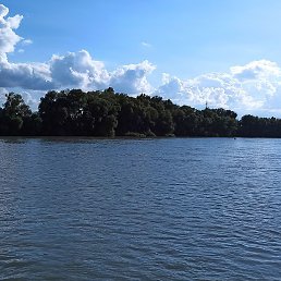 ������, ����, 38 ���