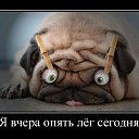 ���� ������, ������ - ��������� 3 ������� 2022 � ������ ���� ����������