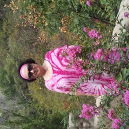 �����, �������