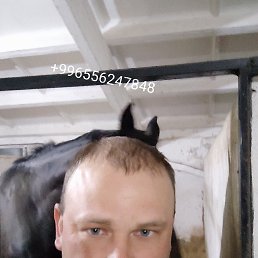 ���� ������!, ������, 38 ��� - ��������� 5 ������� 2022