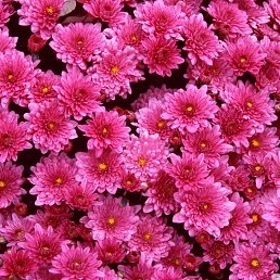 ���� "�", �������� - ��������� 9 ������ 2023