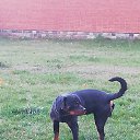 ���� - Inferno, ������ - ��������� 24 ������� 2022 � ������ ���� ���� ������ � �����, ���...�