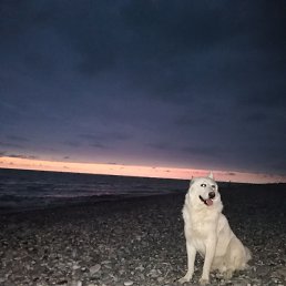 ���� Beso, �������, 27 ��� - ��������� 10 ������� 2023