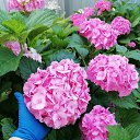 ���� �������, �������, 65 ��� - ��������� 7 ������� 2022 � ������ ���� ����������