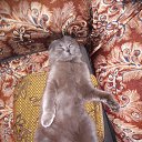 ���� ����, ������, 55 ��� - ��������� 29 ��� 2022