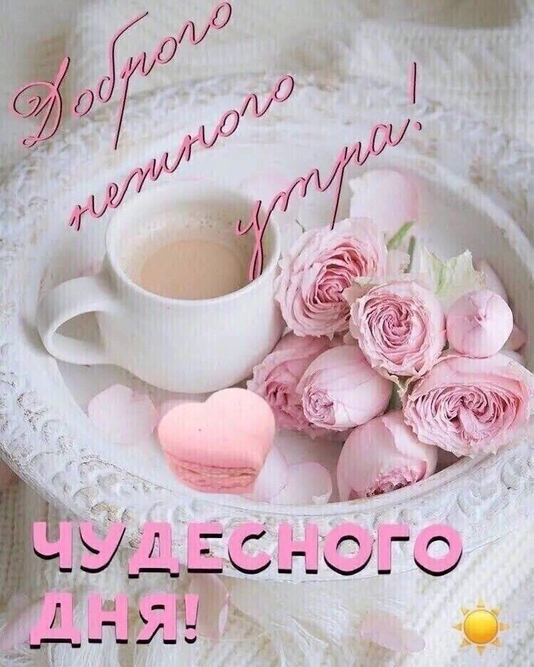 Нежное утро