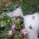 ���� ���� ��������, ������, 52 ���� - ��������� 4 ������ 2022 � ������ ���� ������