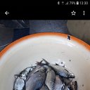 ���� �������, �����, 52 ���� - ��������� 3 ������ 2022 � ������ ���� ����������